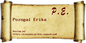 Pozsgai Erika névjegykártya